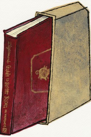 burgundy leather book sliding into tan cloth book case